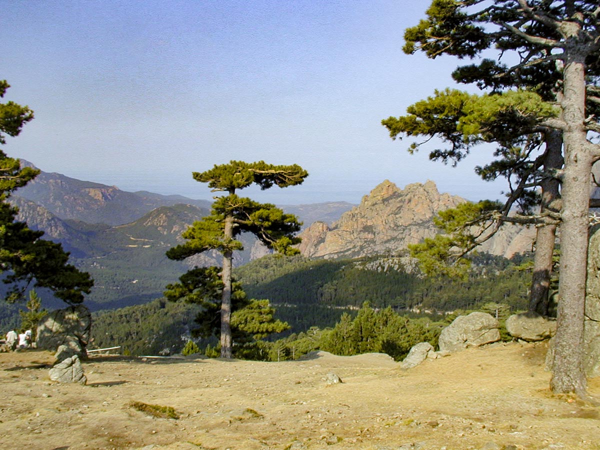 Blick Punta di Ferriate